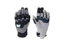 [AS-CGL-02-01-06-120] Alpine Windproof Glove (S)